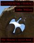 Gathering Storms: The Heretic's Secret Book 1 by John Wilson