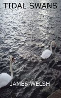 Cover for 'Tidal Swans'