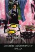 600 Crises or Growing Up Italian by Carol Olivieri Schulte