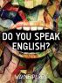 Do You Speak English? - VersiÃ³n en EspaÃ±ol by Wayne Parry