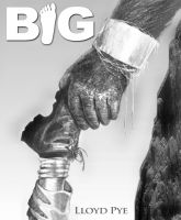 Big cover