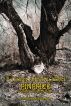 A Crazy Child Called Pinprick & Other Peculiar Tales by Skadi meic Beorh