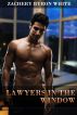 Lawyers In The Window by Zachery White