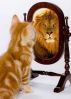 The Confident YOU! Journal by Life Coach Valj (Valarie Johnson)