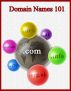 Domain Names 101 - The Ultimate Guide For Everything You Need To Know About Domain Names by John Simpson