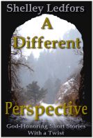 Cover for 'A Different Perspective--God-Honoring Short Stories with a Twist'