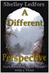 A Different Perspective--God-Honoring Short Stories with a Twist by Shelley Ledfors