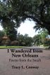 I Wandered from New Orleans: Poems from the South by Tracy L.  Conway