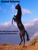 Cover for 'Animal Behavior (All About Animal Behavior Signs and Characteristics)'