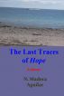 The Last Traces of Hope by Narciso Madera Aguilar