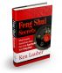 Feng Shui Secrets: What Everyone Should Know About How To Be Successful With Feng Shui by Ken Lauher