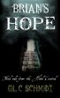 Brian's Hope: Third Tale from the Hotel Central by Gil C. Schmidt