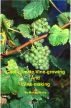 Cool-Climate Vine-growing and Wine-making by Michael Barry