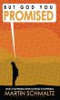 But God You Promised, What's Happening When Nothings Happening by Martin Schmaltz