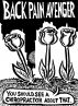 The Back Pain Avenger: Heal Chronic Back Pain and Destroy It Forever by Joe Chiappetta