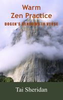 Cover for 'Warm Zen Practice: A poetic version of Dogen's Bendowa'
