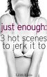 Just Enough: 3 Hot Scenes to Jerk it to by Lilith Kinke