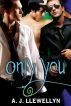 Only You by A. J. Llewellyn