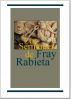 Los sermones de Fray Rabieta by Fray Rabieta