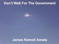 Cover for 'Don't Wait For The Government'