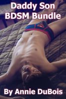 Cover for 'Daddy Son BDSM Bundle'