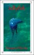 Jellyfish: Boogers of the Sea by Caitlind Alexander