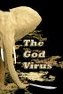 The God Virus by J. E. Murphy