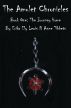 The Amulet Chronicles: Book I: The Journey Home by Anne Tibbets
