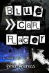Blue Car Racer by Peter von Harten