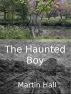 The Haunted Boy by Martin Hall