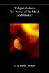 Advaita in translation 7 -  Five Verses of the Monk by Adi Shankara by Joshua Norager