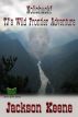 Nolichuck! TJ's Wild Frontier Adventure by Jackson Keene