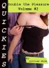 Quickies: Double the Pleasure, Volume #2 by Lillian Snow