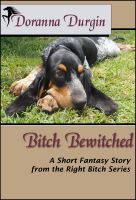 Bitch Bewitched cover