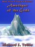 Amethyst of the Gods (Sword of Heavens #7) by Richard S. Tuttle