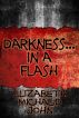 Darkness...in a Flash by Elizabeth  John