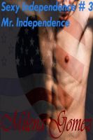 Cover for 'Mr. Independence [Sexy Independence #3]'