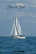 Short Sail by John E. Jay
