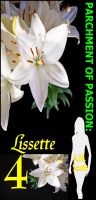 Cover for 'Parchment Of Passion: Lissette 4'