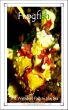 Frogfish: The Weirdest Fish in the Sea by Caitlind Alexander