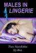 Males in Lingerie by Bea 