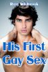 His First Gay Sex by Roxy Wildbrook