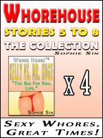 Cover for 'Whorehouse: The Collection (Stories 5 to 8) [Erotic Content]'