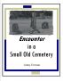 Encounter in a Small Old Cemetery by Lenny Everson