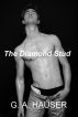 The Diamond Stud by GA Hauser