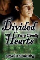 Cover for 'Divided Hearts'