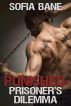Punished: Prisoner's Dilemma (Gay Rough Sex Erotica) by Sofia Bane