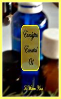 Cover for 'How to Use Eucalyptus Essential Oil'