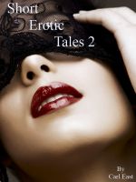 Cover for 'Short Erotic Tales 2'