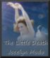 The Little Death by Jocelyn Modo
